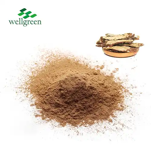 Ligusticum Striatum Root Extract